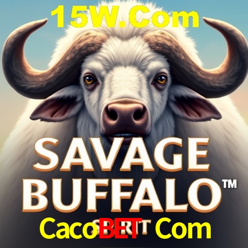 Descubra o Programa VIP da Cacobet Com: Vantagens Exclusivas para Jogadores