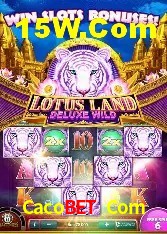 Apostas de Futebol Cacobet Com